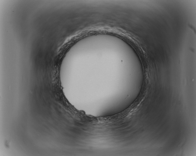 X0000103971494200809191345
