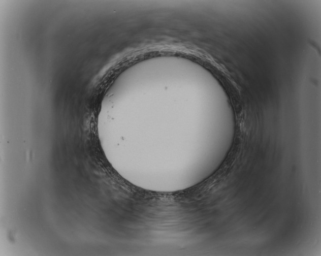 X0000103971495200809191346
