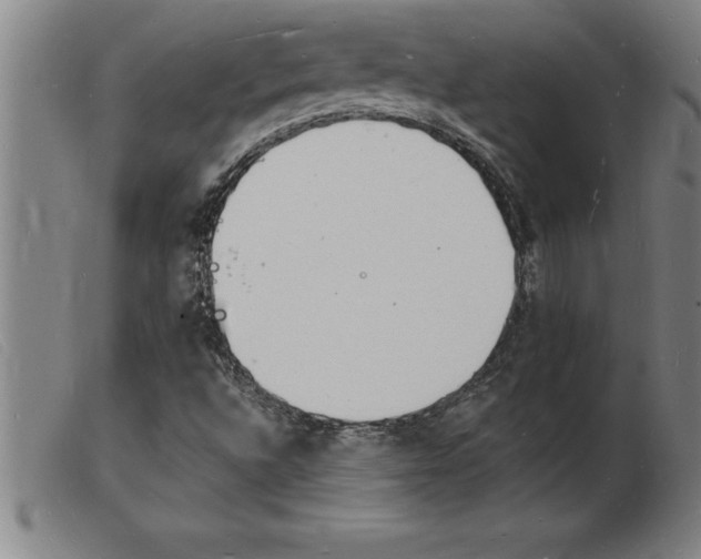 X0000103971496200809191346