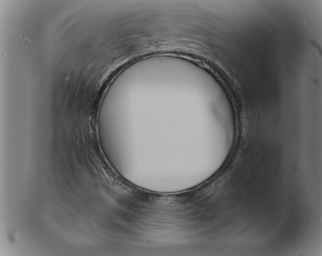 X0000103971497200809191346