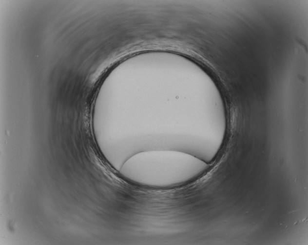 X0000103971498200809191346