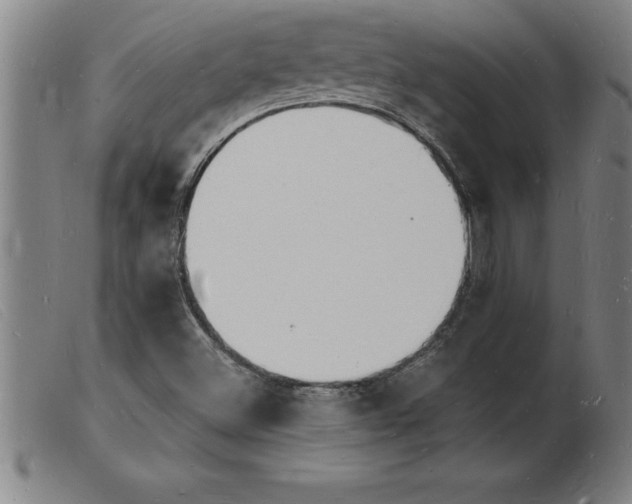X0000103971500200809191346