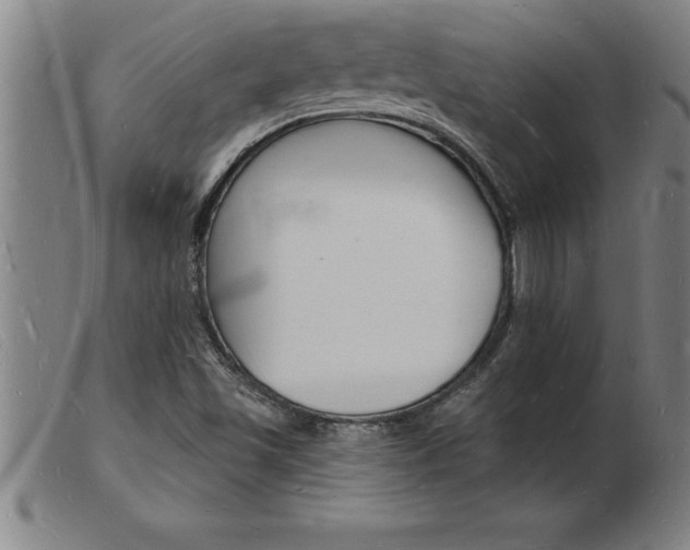 X0000103971501200809191346