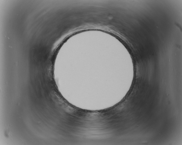 X0000103971502200809191346