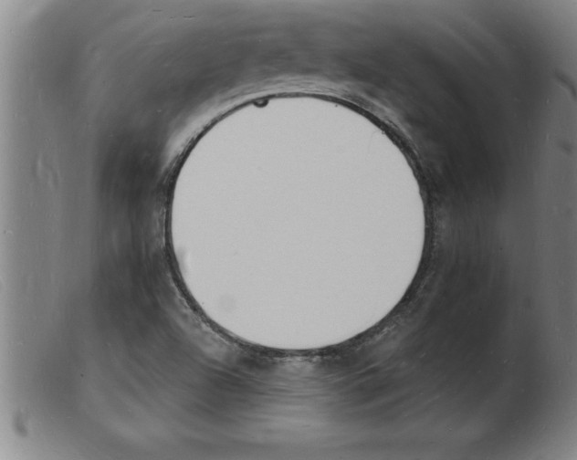X0000103971504200809191346