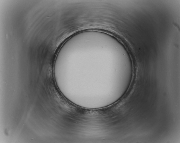 X0000103971505200809191346