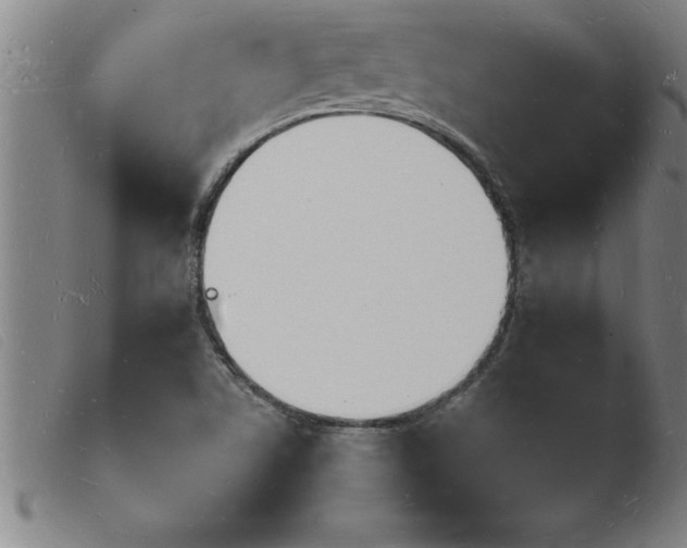 X0000103971506200809191346