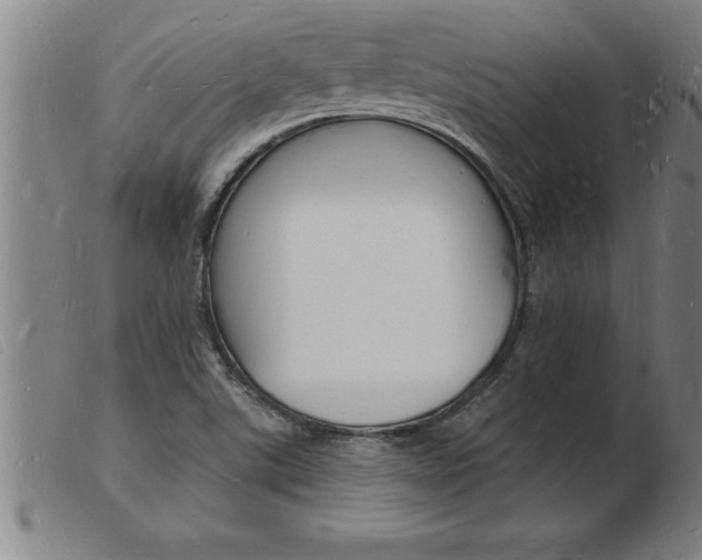 X0000103971507200809191346