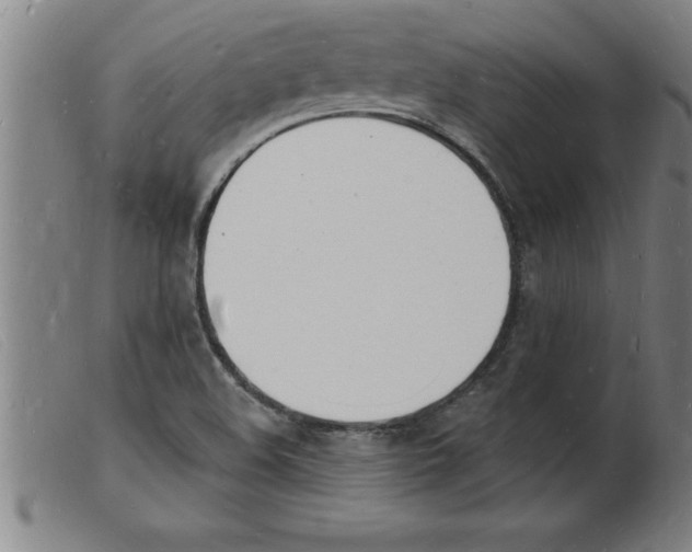 X0000103971508200809191346