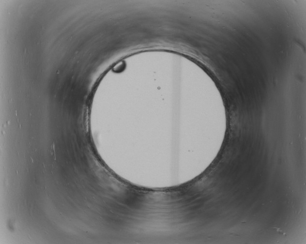 X0000103971510200809191346