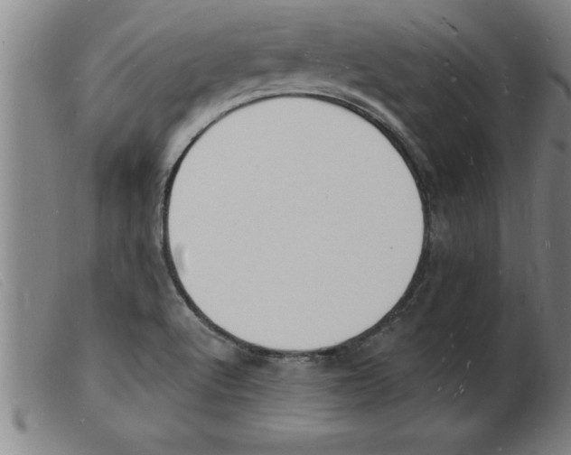 X0000103971512200809191346
