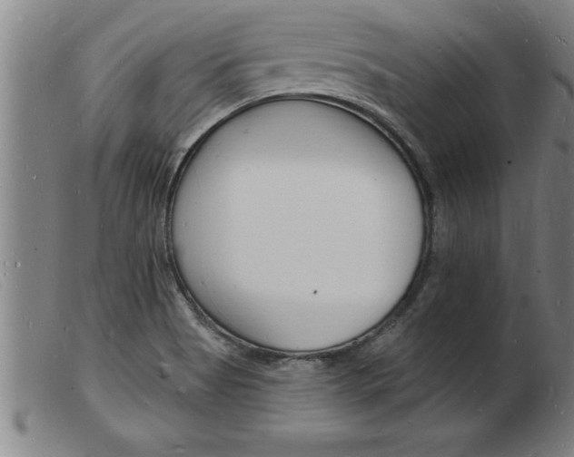 X0000103971513200809191346