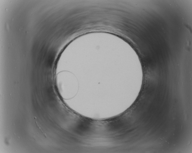 X0000103971514200809191346