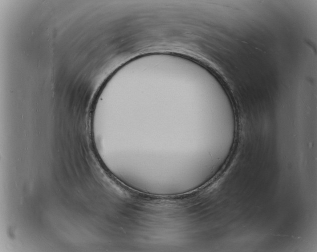 X0000103971517200809191346