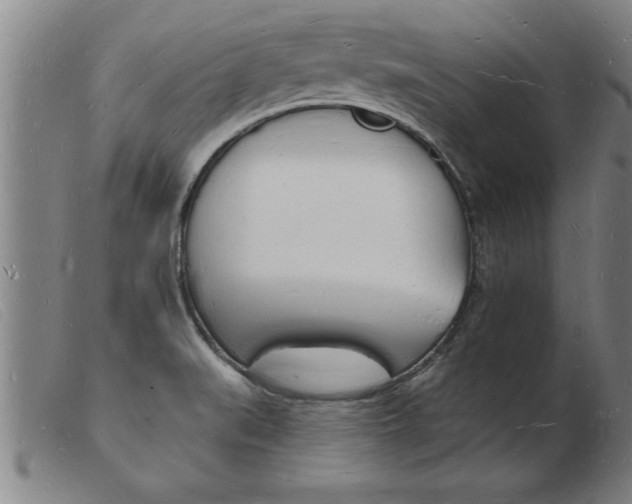 X0000103971519200809191346