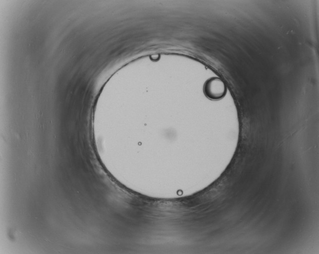 X0000103971520200809191346