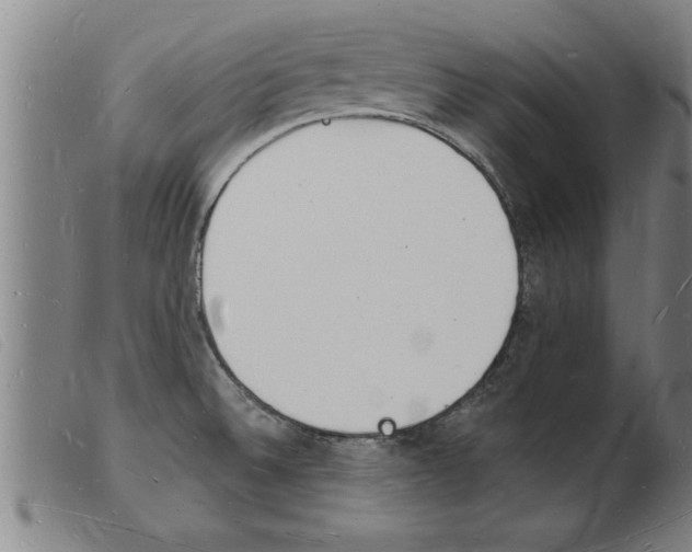 X0000103971524200809191346