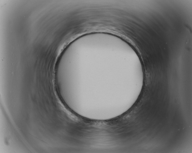 X0000103971525200809191346