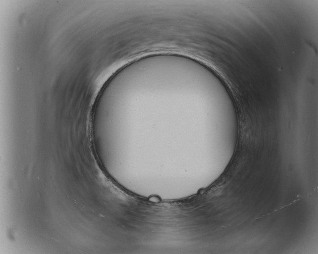 X0000103971527200809191346