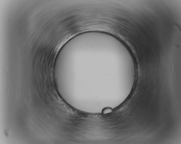 X0000103971529200809191346