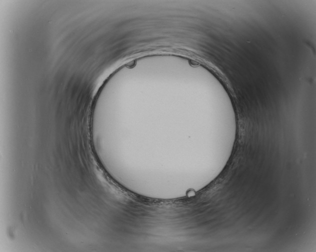 X0000103971530200809191346