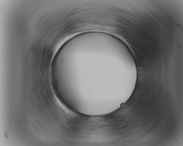 X0000103971531200809191346