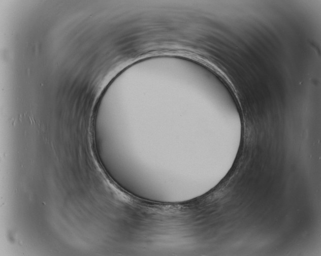 X0000103971533200809191346