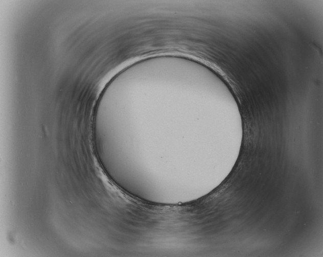 X0000103971534200809191346