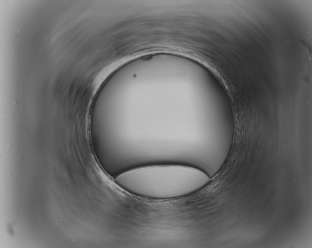 X0000103971535200809191346