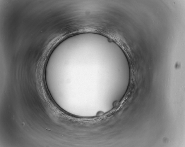 X0000103970001200809191545