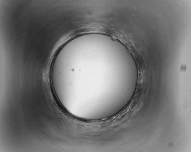 X0000103970004200809191545