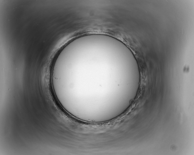 X0000103970005200809191545