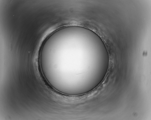 X0000103970006200809191545