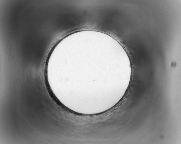 X0000103970007200809191545