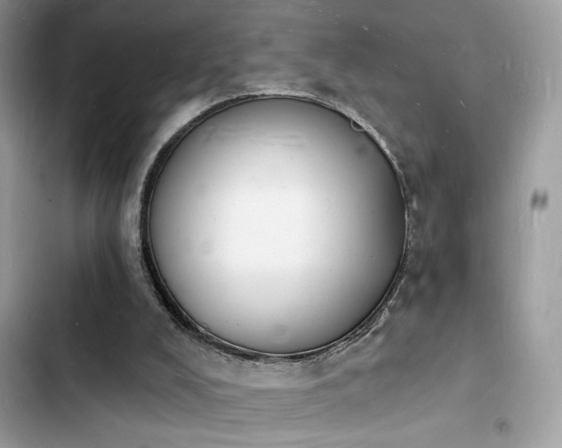 X0000103970008200809191545