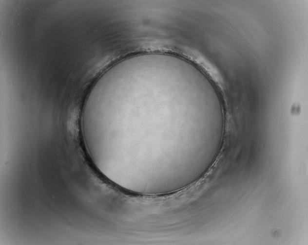 X0000103970009200809191545