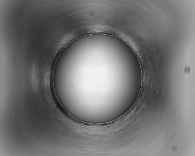 X0000103970010200809191545