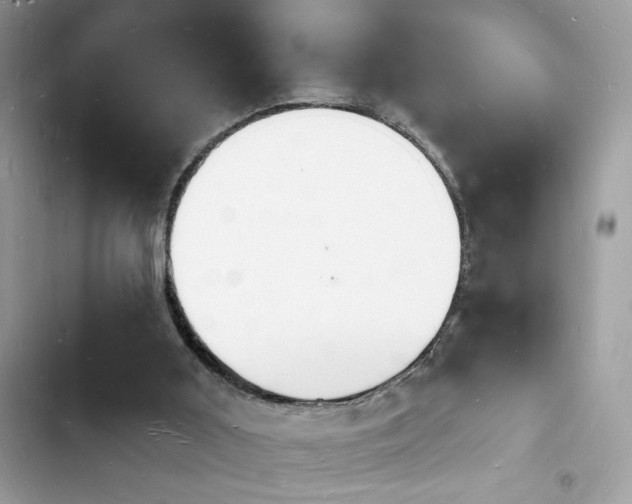 X0000103970011200809191545