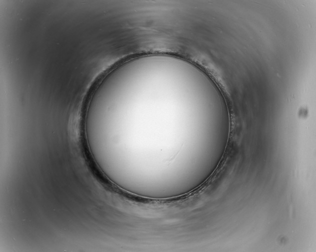 X0000103970012200809191545