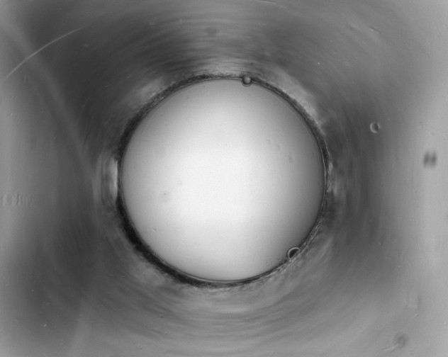 X0000103970013200809191545