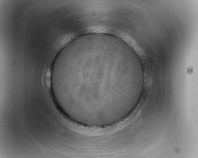 X0000103970014200809191545