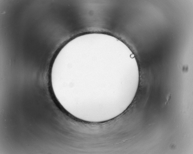 X0000103970015200809191545