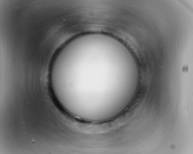 X0000103970016200809191545