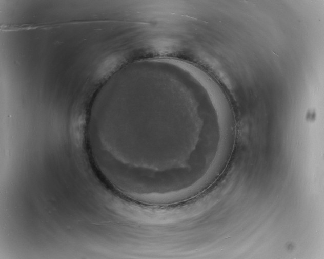 X0000103970018200809191544