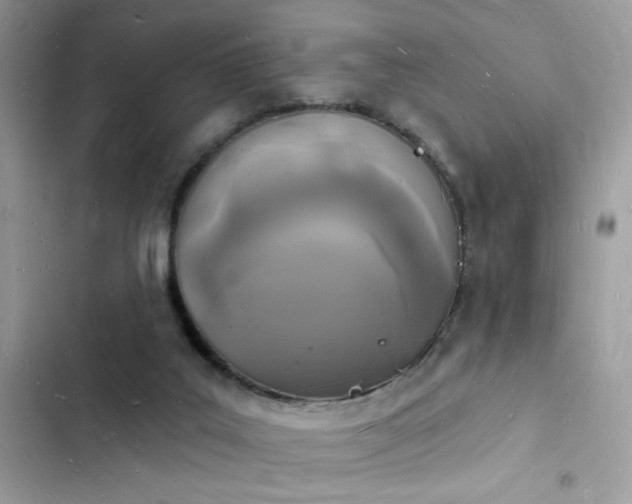 X0000103970019200809191544