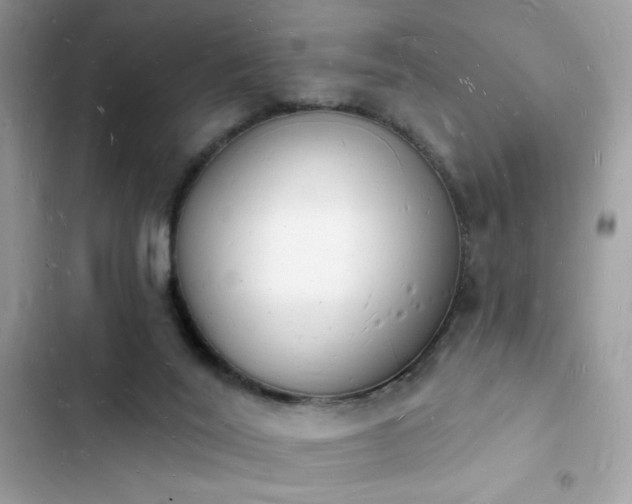 X0000103970020200809191544