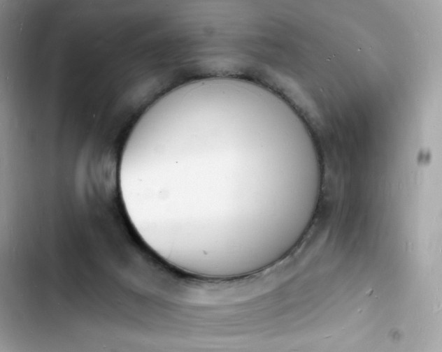 X0000103970021200809191544