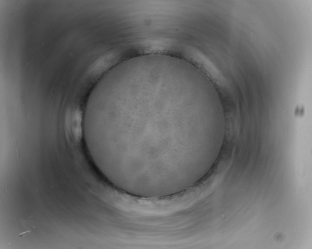 X0000103970022200809191544