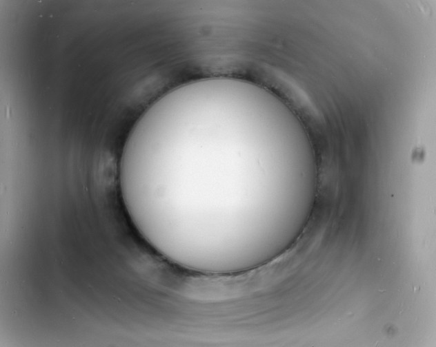 X0000103970025200809191544