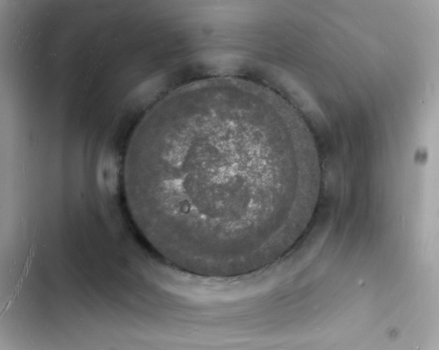 X0000103970026200809191544